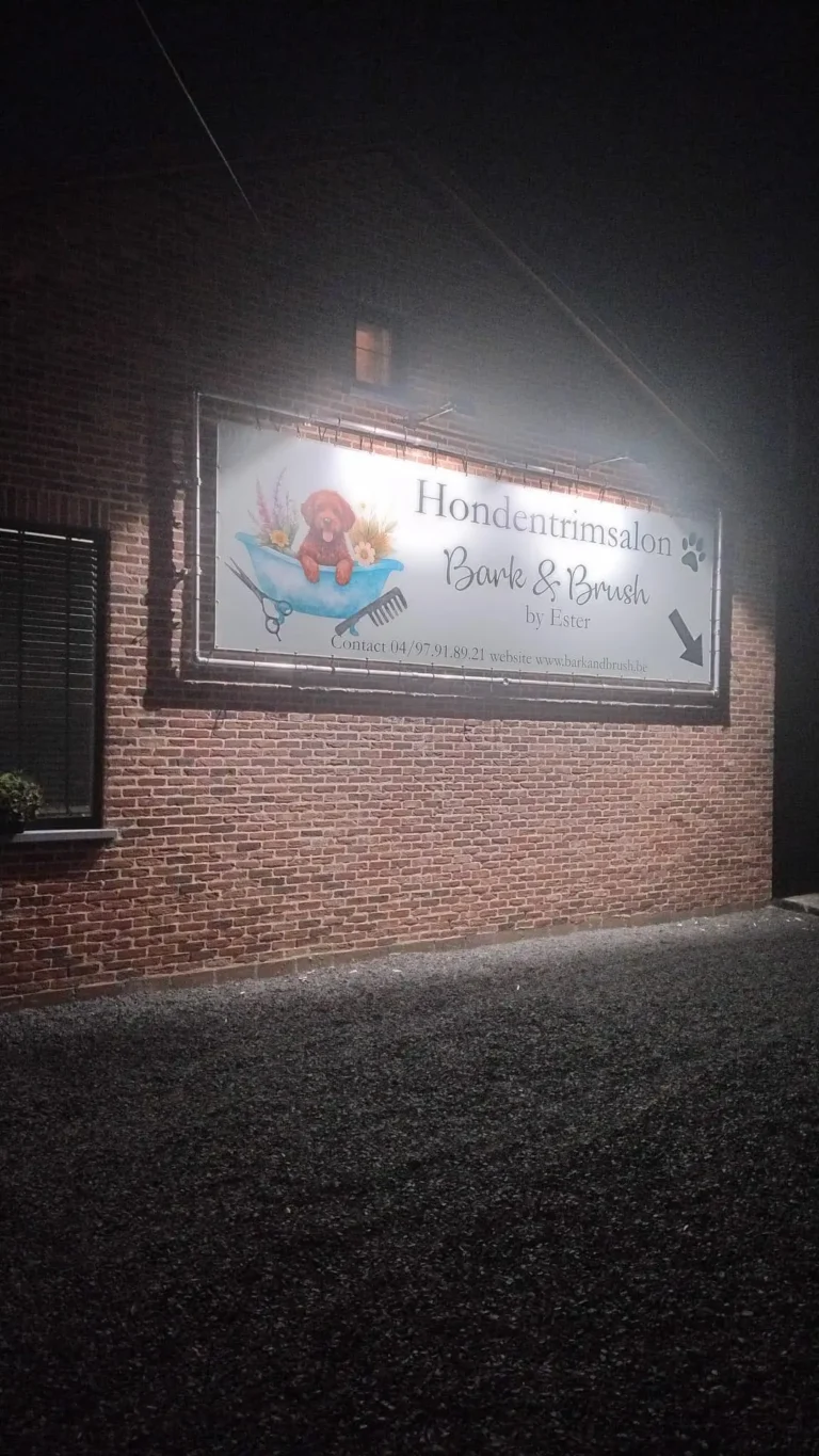 LED-reclamespots met astroklok geplaatst bij een hondentrimsalon door LLT